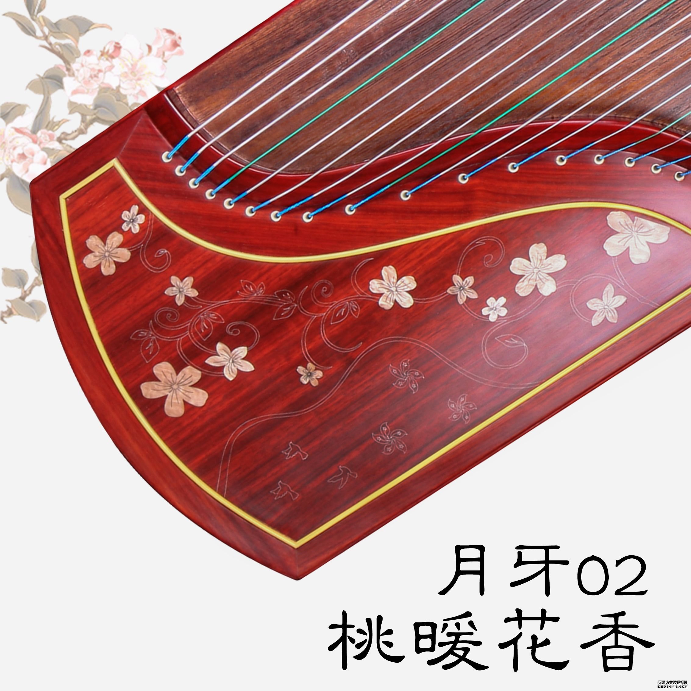 �����Ź~02��ů���㣨С�һ������W(xu��)���I(y��)����~